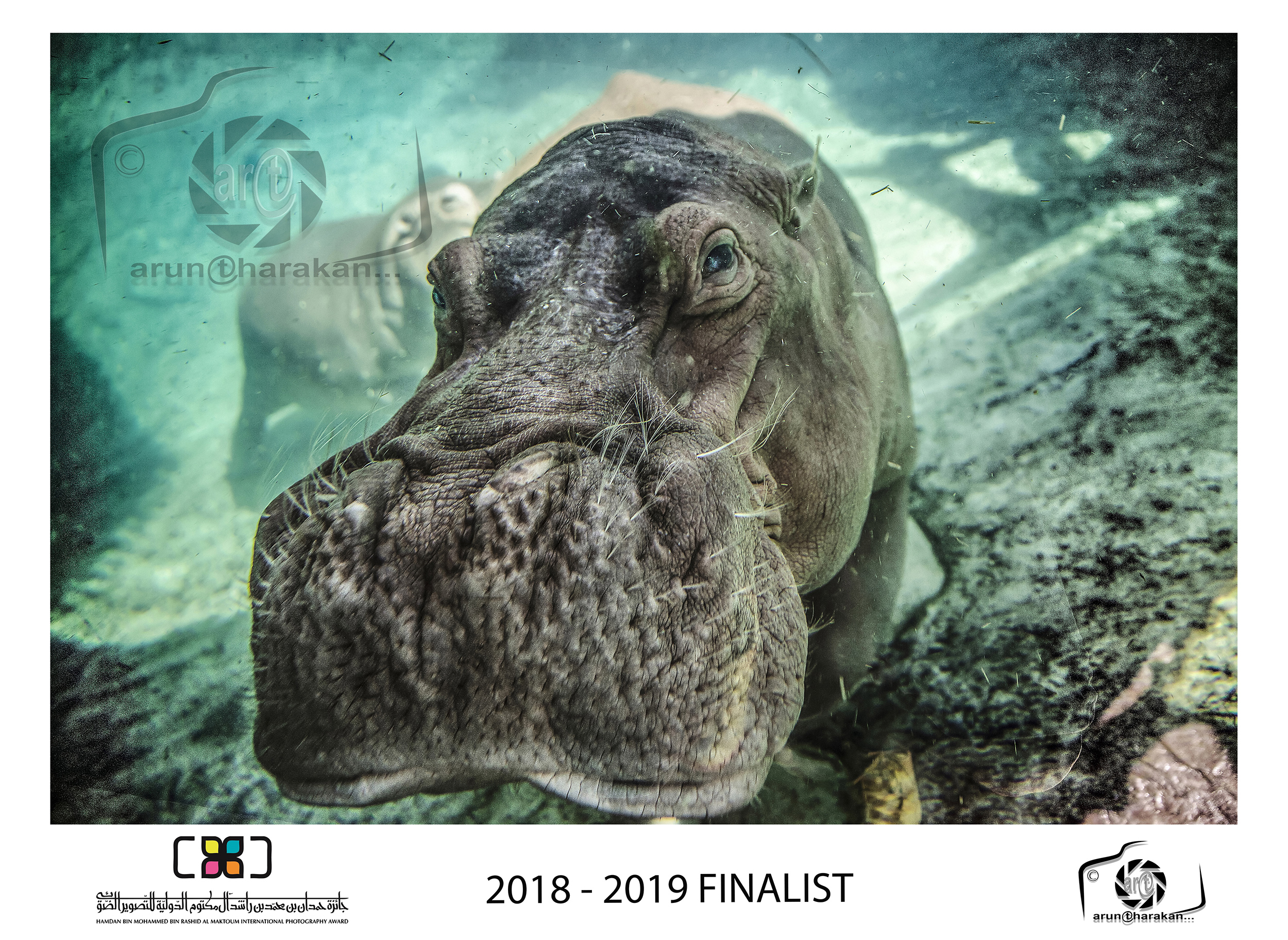 2018-2019 Finalist