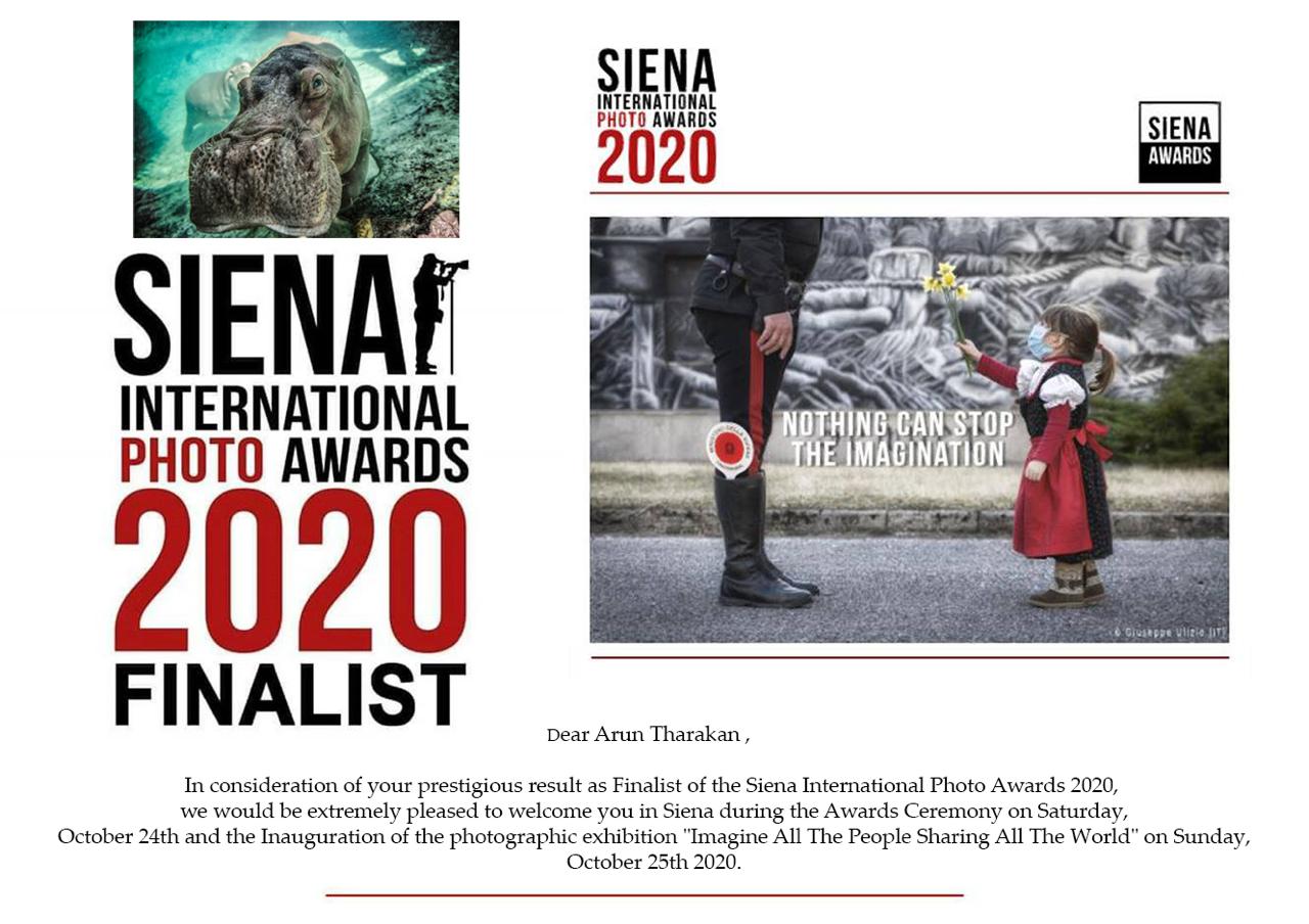 2019-2020 Finalist